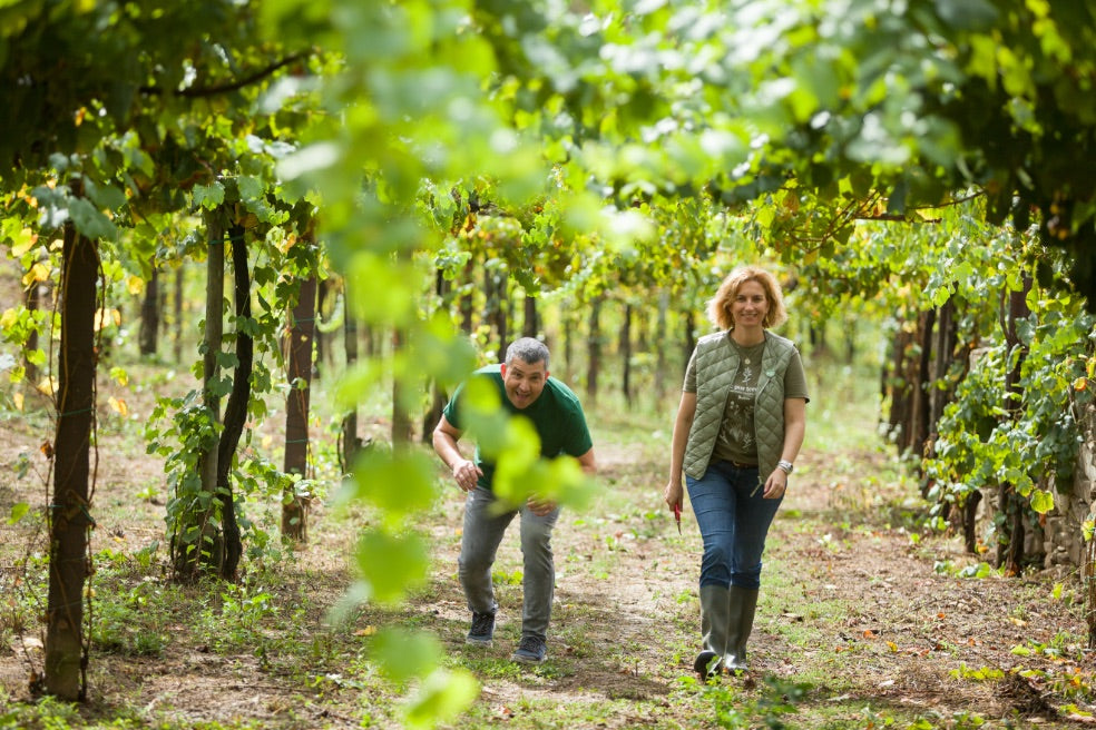 VINDIMAS 2022 | 40 anos do Soalheiro