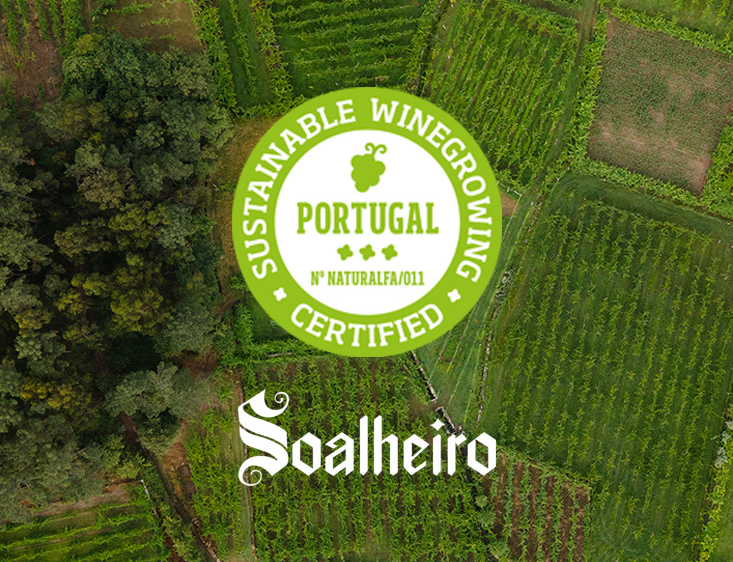 A PRIMEIRA CERTIFICAÇÃO DE SUSTENTABILIDADE VITIVINÍCOLA EM MONÇÃO E MELGAÇO