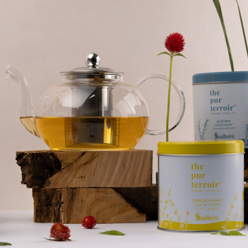 Coleção de Infusões The Pur Terroir