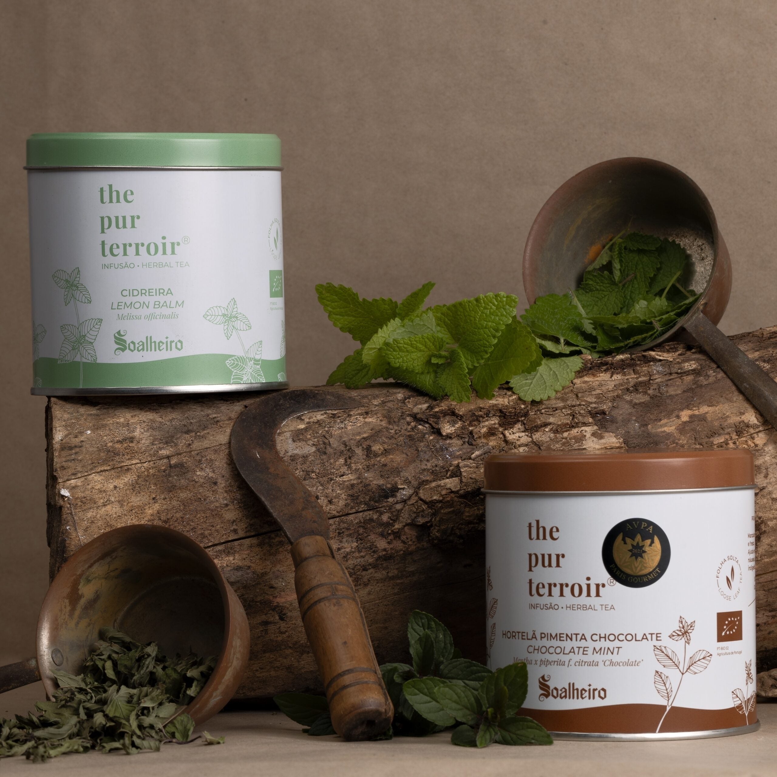 8_Pack Territórios_d_1.1