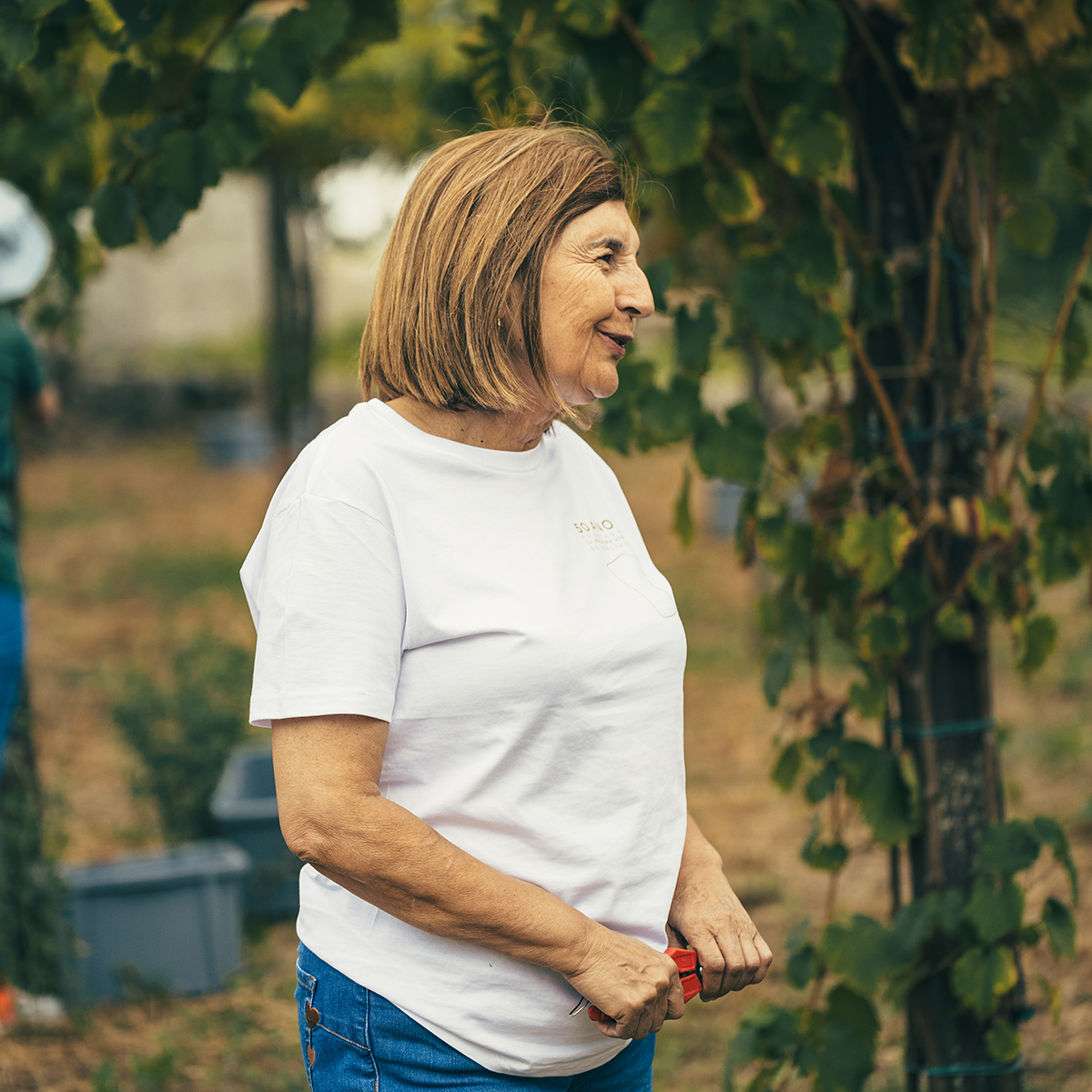 Soalheiro Harvest Experience