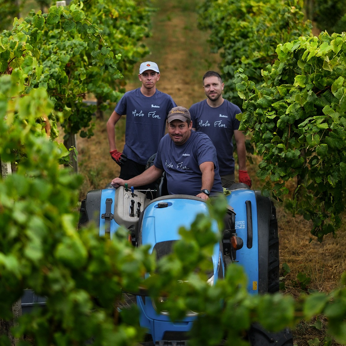 Soalheiro Harvest Experience