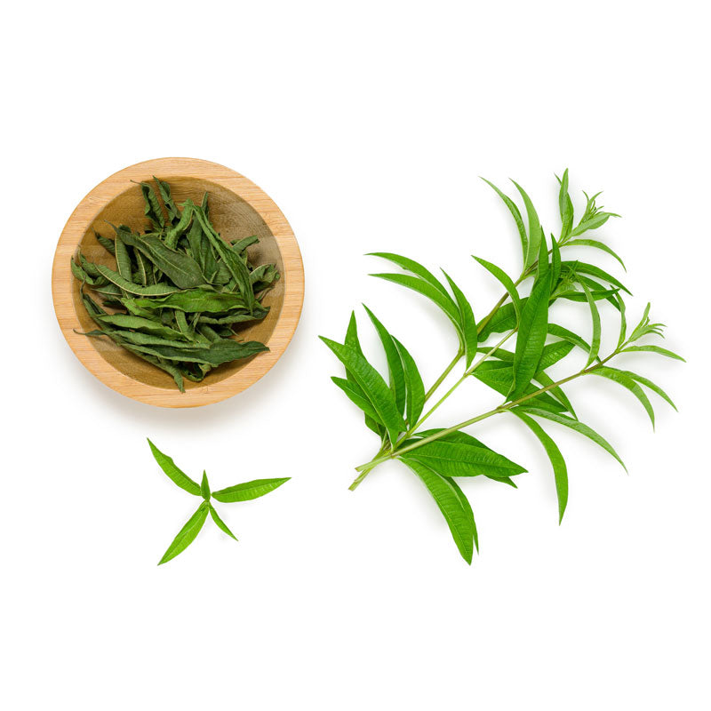 Lemon-Verbena-Soalheiro-The-Pur-Terroir