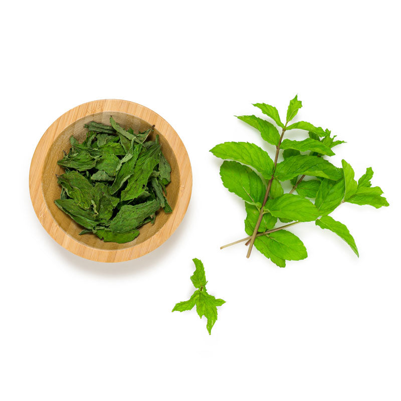 Spearmint-Soalheiro-The-Pur-Terroir