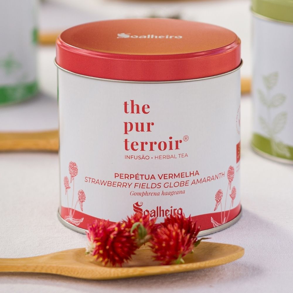 Strawberry-Fields-Globe-Amaranth-Soalheiro-The-Pur-Terroir