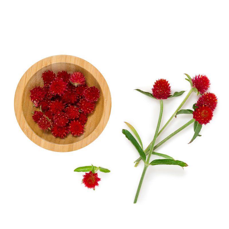 Strawberry-Fields-Globe-Amaranth Soalheiro the pur terroir