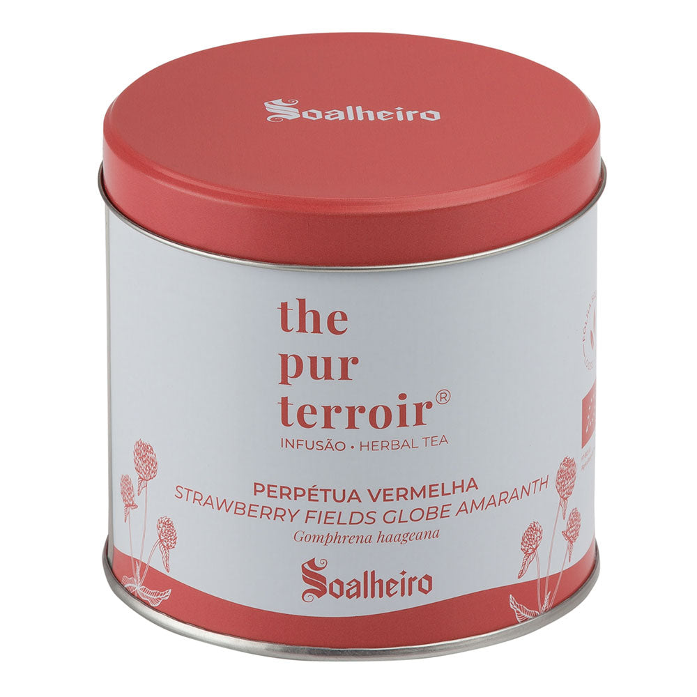 Strawberry-Fields-Globe-Amaranth