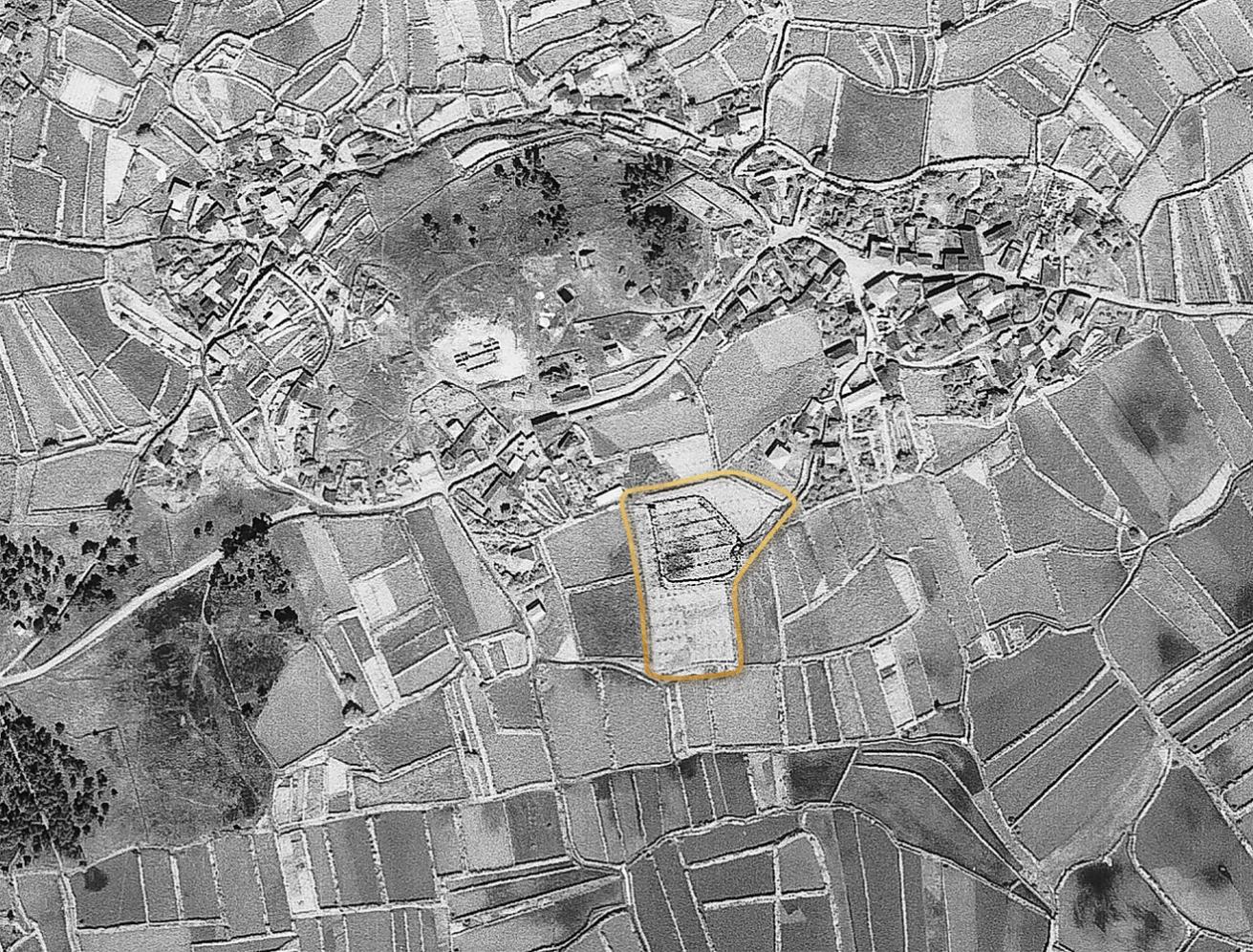 50 Anos da Plantação da Primeira Vinha do Soalheiro