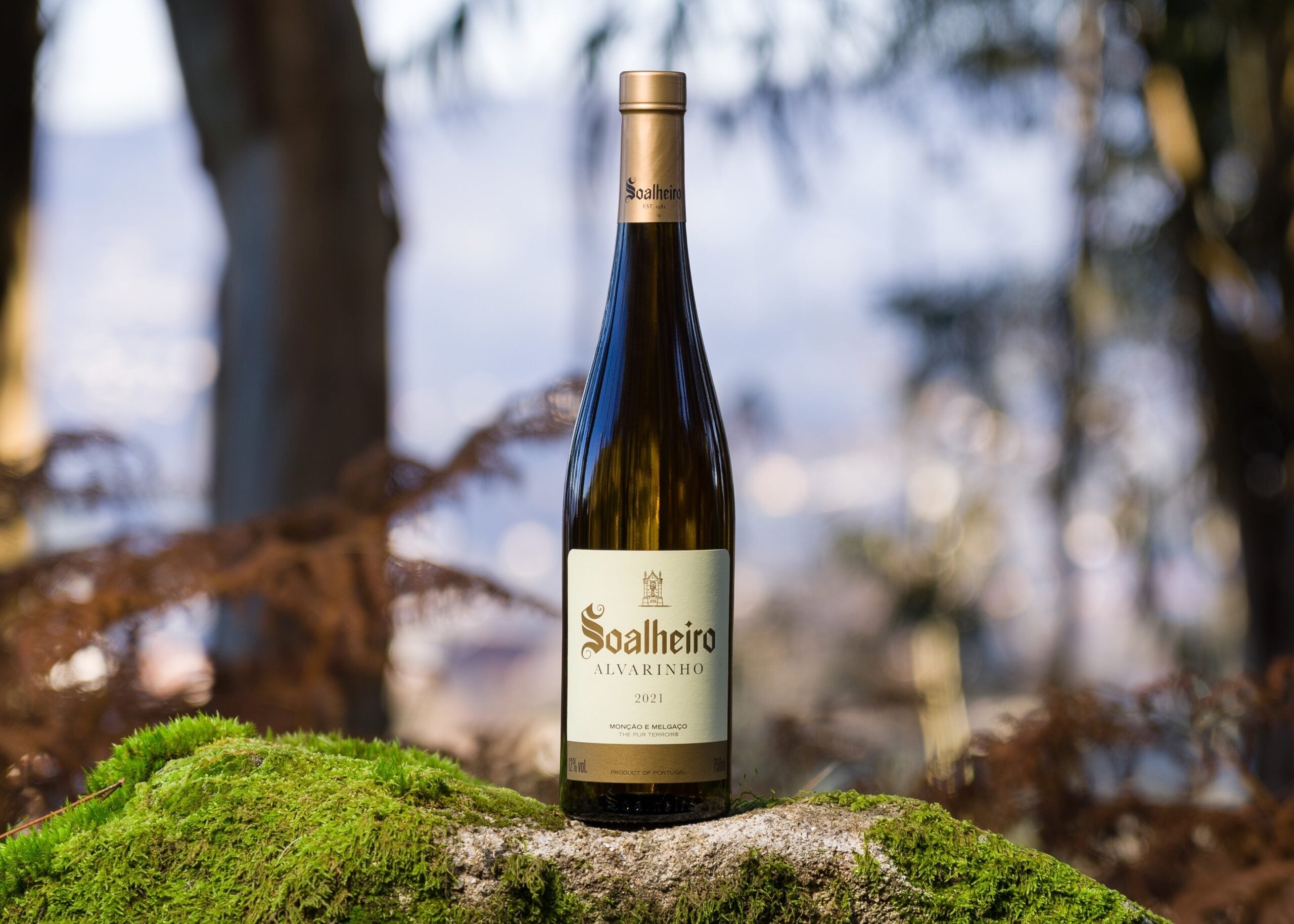 Tradição, Inovação e Consistência 