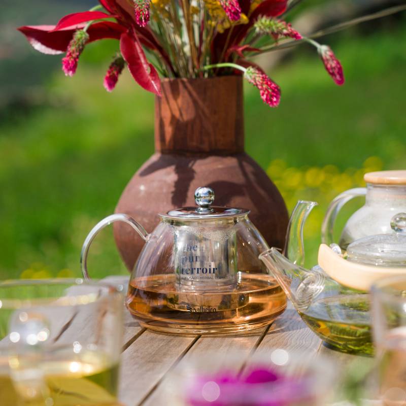 Tours & Provas de Infusões