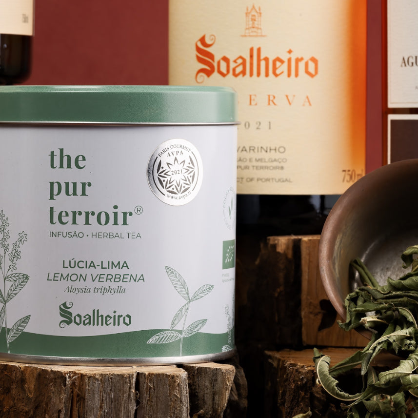 Coleção Premium Território Único I