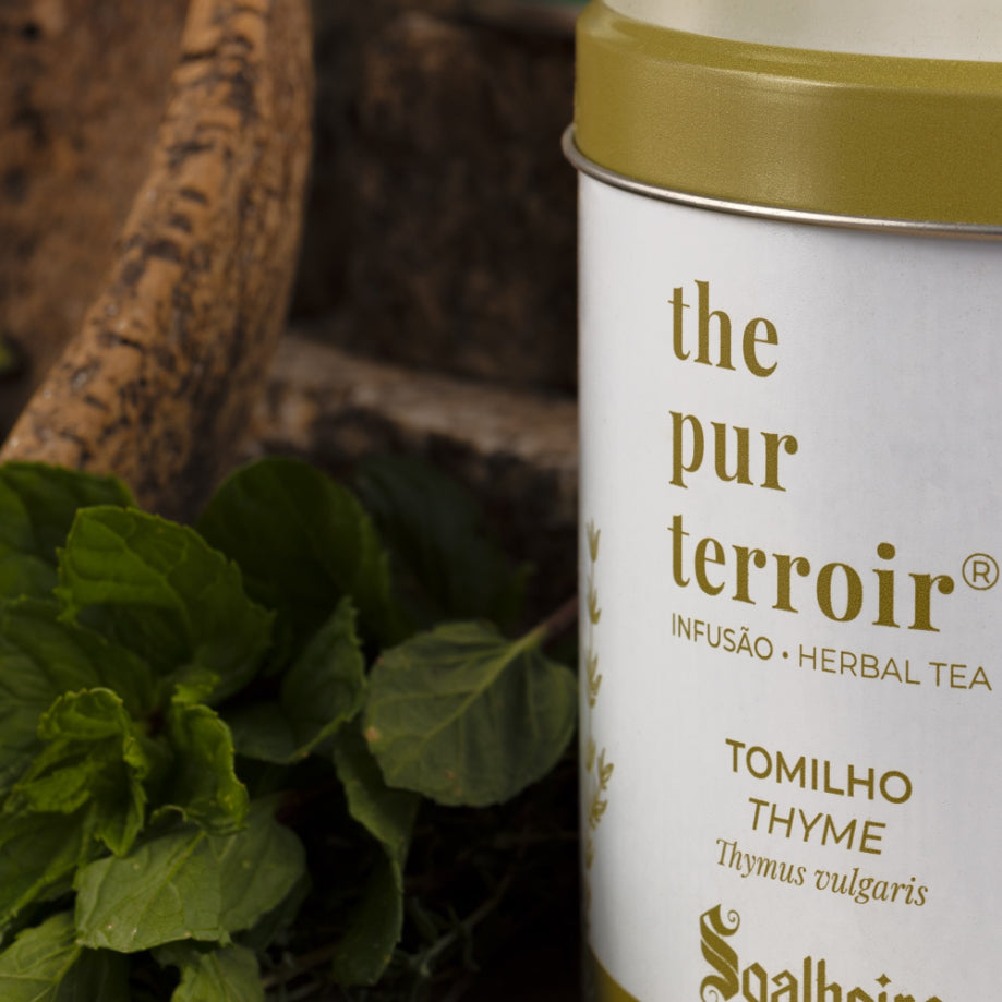 9_Pack Territórios Plus