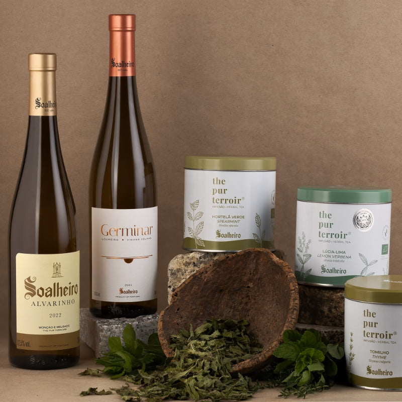 9_Pack Territórios Plus