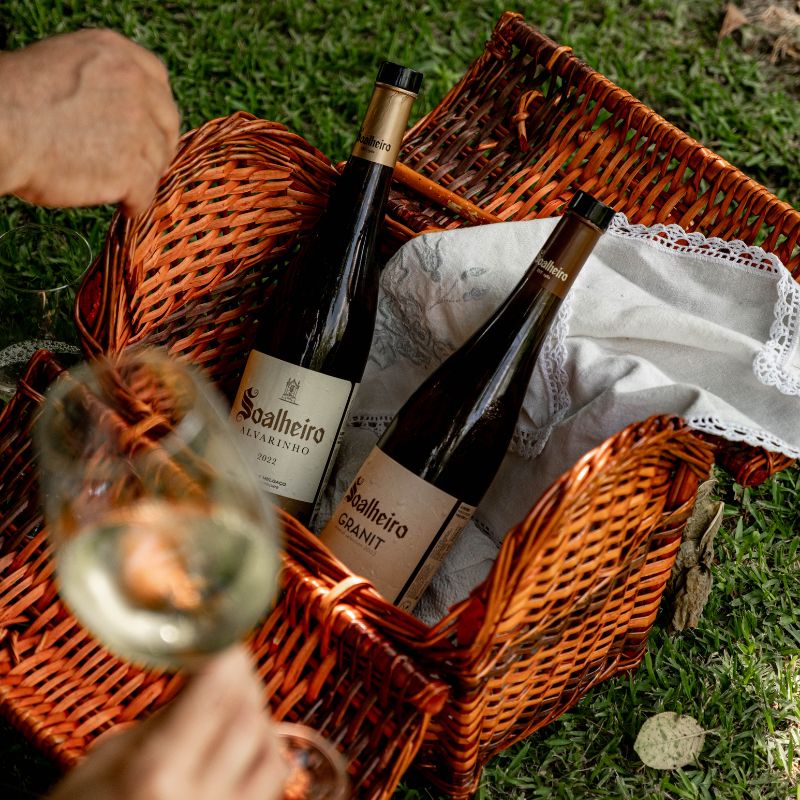 Programa de Vindimas