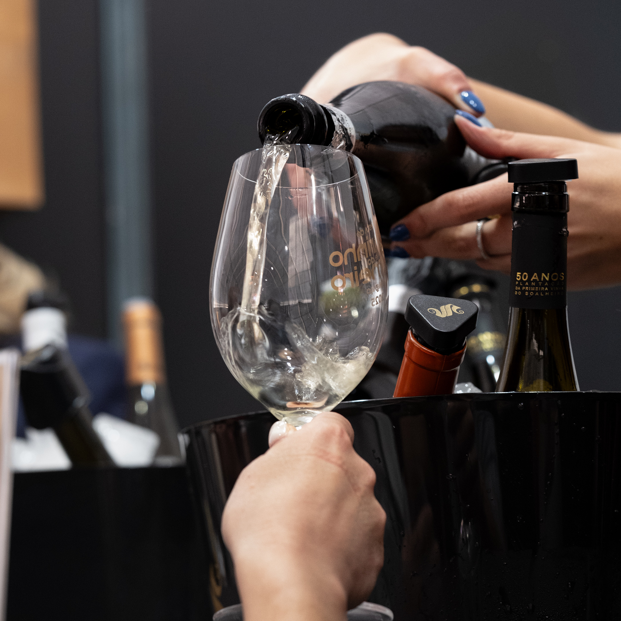 Festa do Alvarinho e do Fumeiro de Melgaço - Portas Abertas