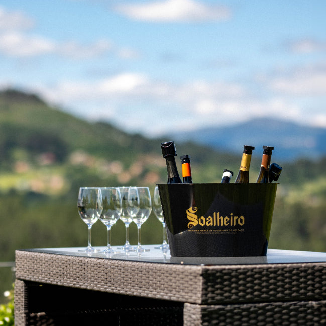 Rota do Alvarinho de Monção e Melgaço - Dia de Portas Abertas