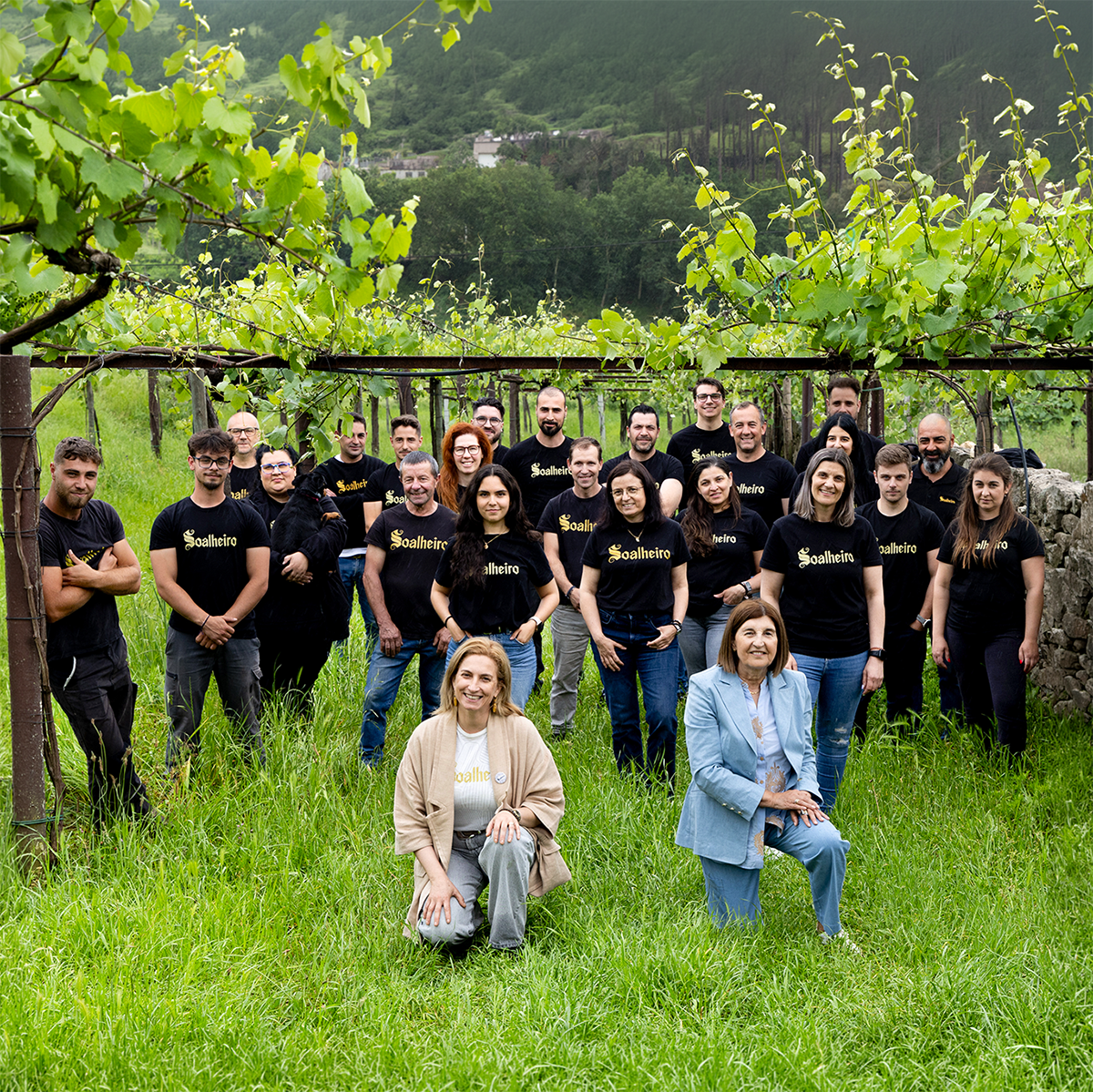 Soalheiro Harvest Experience