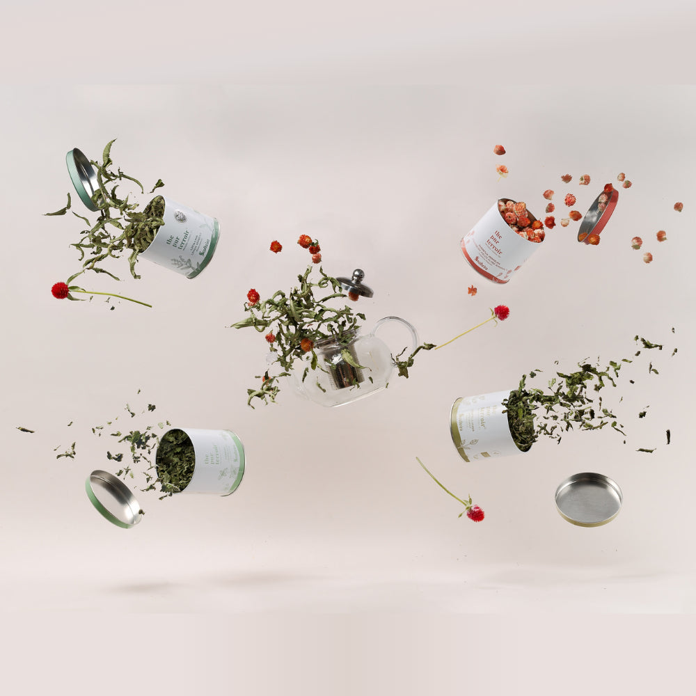 Coffret Infusões The Pur Terroir