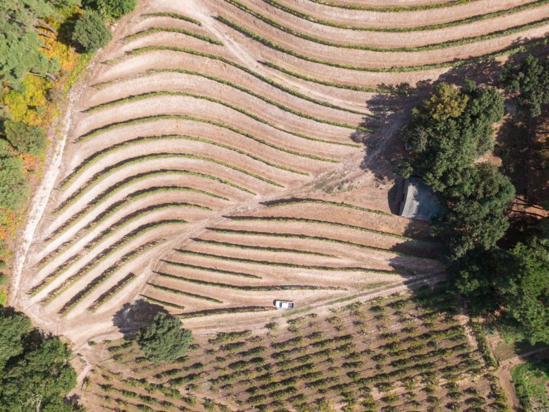 INNOVATION-IN-THE-VINEYARDS---HEADER-min INNOVATION-IN-THE-VINEYARDS---HEADER-min