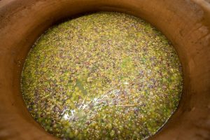 INNOVATION IN WINEMAKING - AGHORA 2