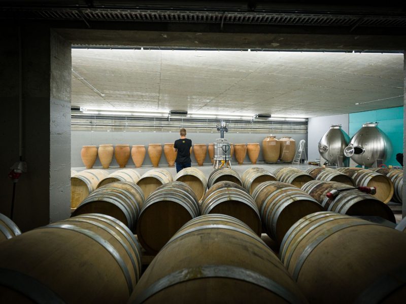 INNOVATION-IN-WINEMAKING---HEADER-min INNOVATION-IN-WINEMAKING---HEADER-min