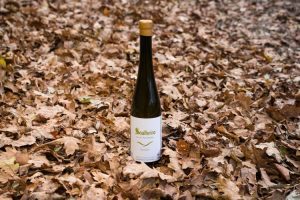 INNOVATION IN WINEMAKING - NATURE