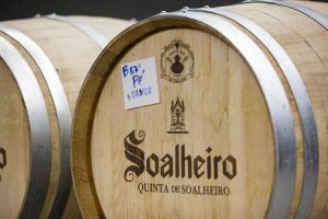 INNOVATION IN WINEMAKING -Pe FRANCO