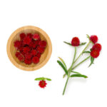 Strawberry-Fields-Globe-Amaranth Soalheiro the pur terroir