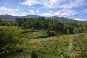 natural-factors-blurb-image