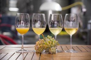 winemaking-philosophy-blurb-image