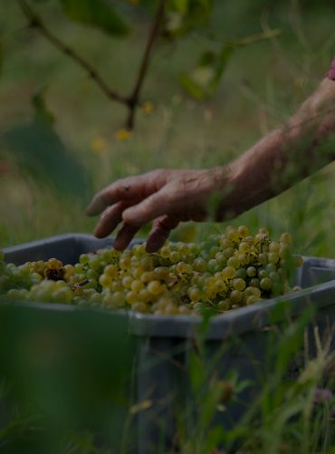 xr:d:DAFbIKYSh3Y:27,j:8464939938024420883,t:24041014 xr:d:DAFbIKYSh3Y:27,j:8464939938024420883,t:24041014