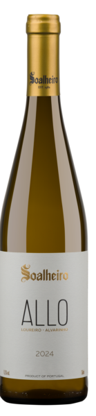 Allo-2024 Allo-2024